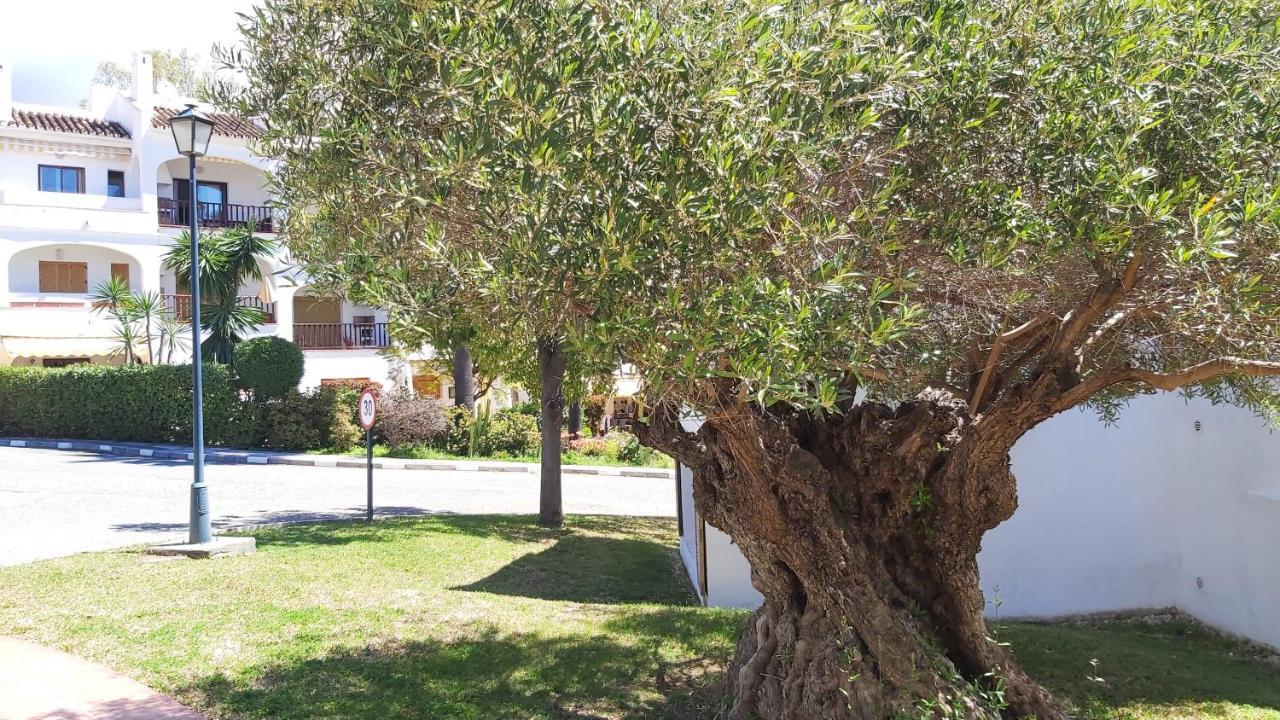 Del Parque Flats Le Village Golf Marbella